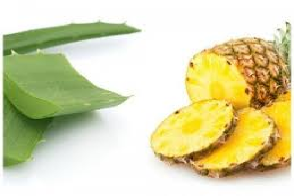 La Piña Con Aloe Vera - Infoligth