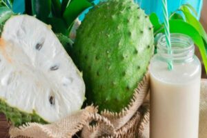 Beneficios para la salud de la guanábana
